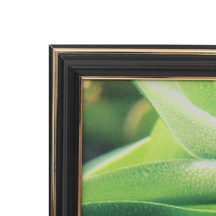 Картина "Цветы" рама микс