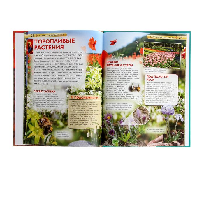 Детская энциклопедия «Удивительные растения»