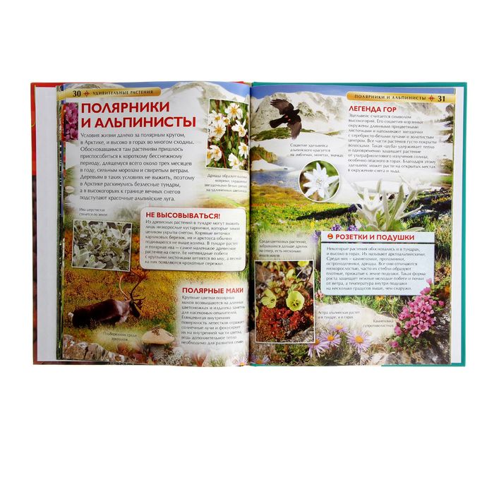 Детская энциклопедия «Удивительные растения»