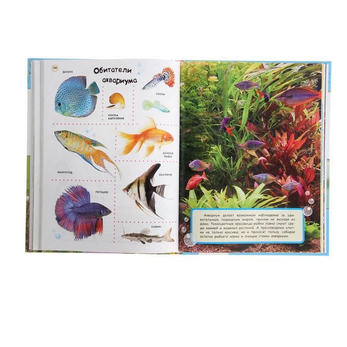 «Большая энциклопедия в картинках»