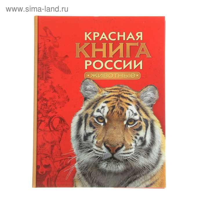 фото Красная книга россии «животные» росмэн