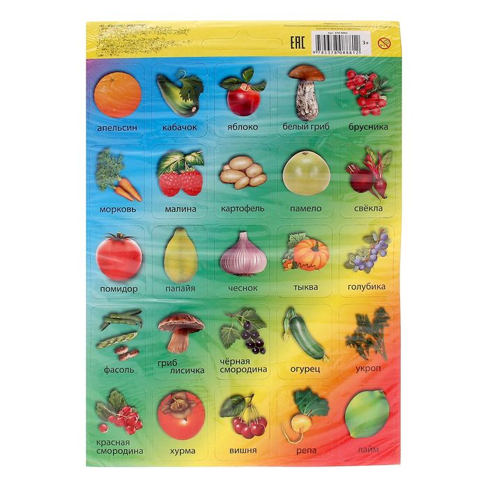 Карточки обучающие «Фрукты, ягоды, овощи и грибы», на магнитах