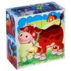Кубики "Домашние животные", 4 штуки (в коробке) - Фото 2