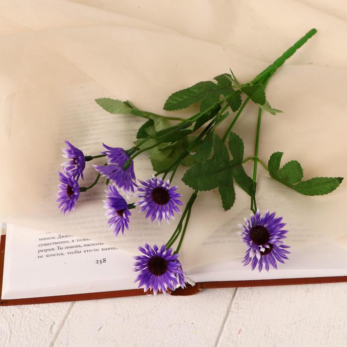 Букет "Острая ромашка" микс