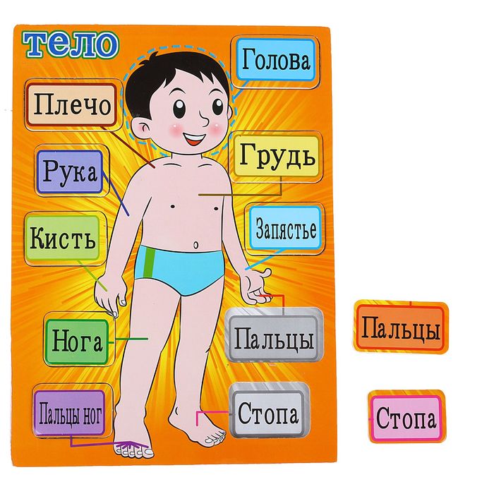 Рамка-вкладыш "Моё тело", русский язык 10 элементов