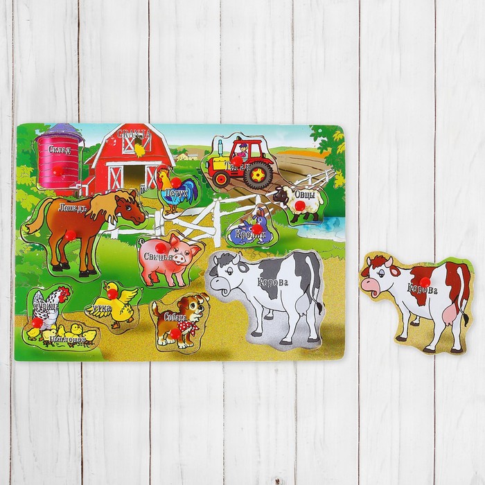 Рамка-вкладыш "Домашние животные", русский язык, 11 элементов