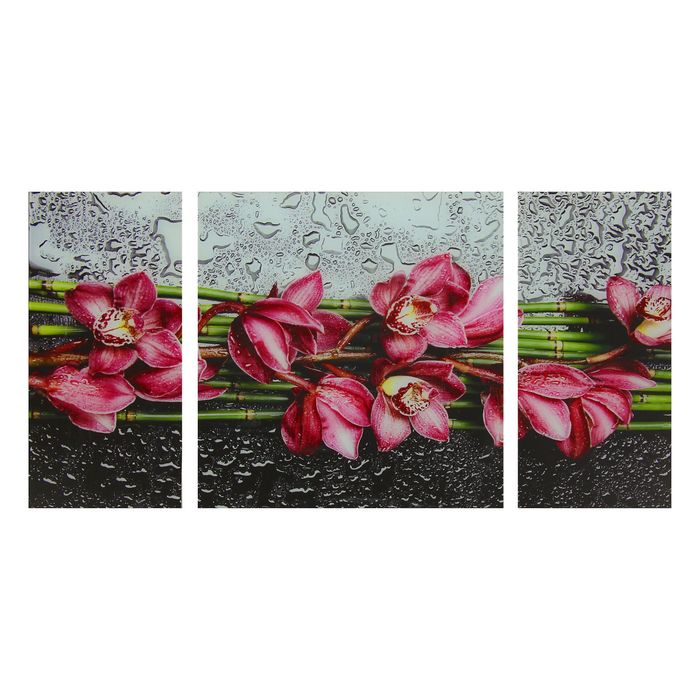 Модульная картина на стекле "Цветы", 2 — 25×50, 1 — 50×50 см, 100×50 см